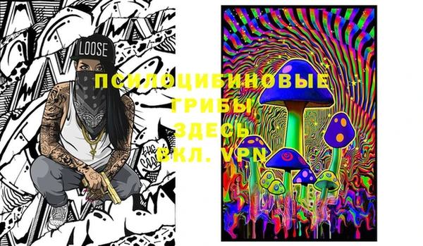 PSILOCYBIN Арсеньев