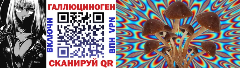 omg ТОР  Гуково  Галлюциногенные грибы прущие грибы 